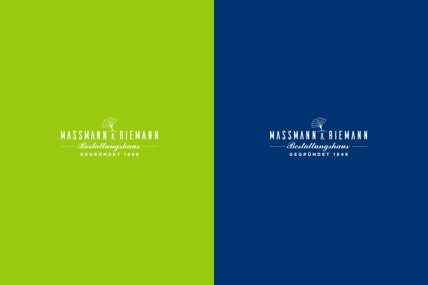 massmann logo 4
