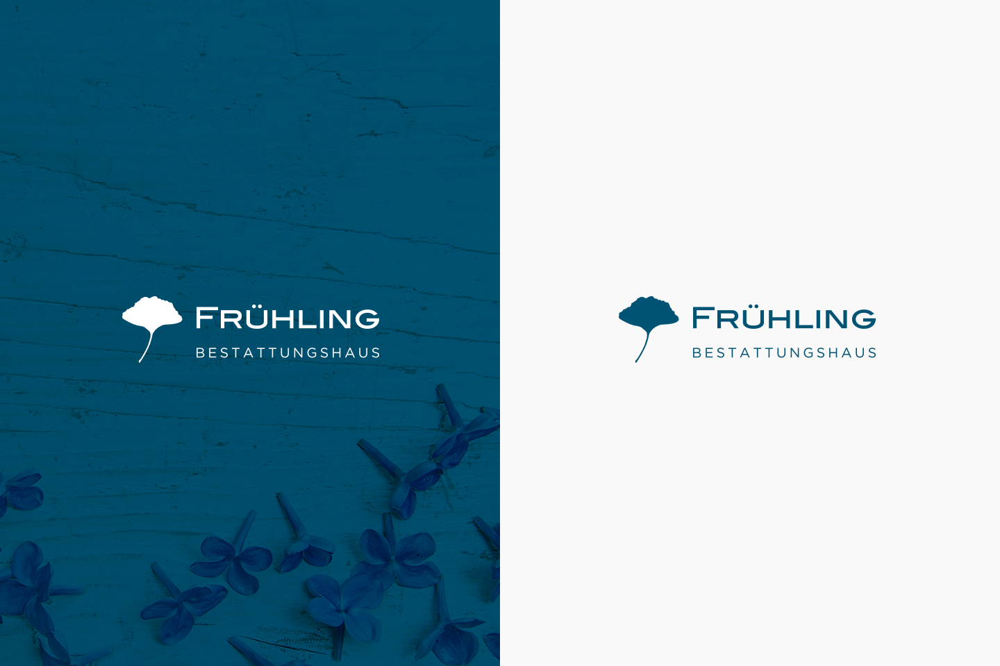 frühling 2